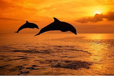 益智解谜游戏《乐高 积木传说》 现已在Steam发售