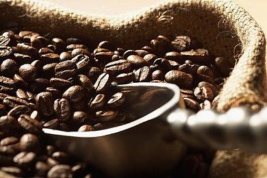 奇幻生存动作游戏《雾锁王国》Steam夏促史低价78.4元